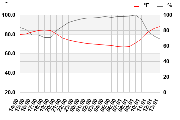 Temp/Humidity last 24 hours